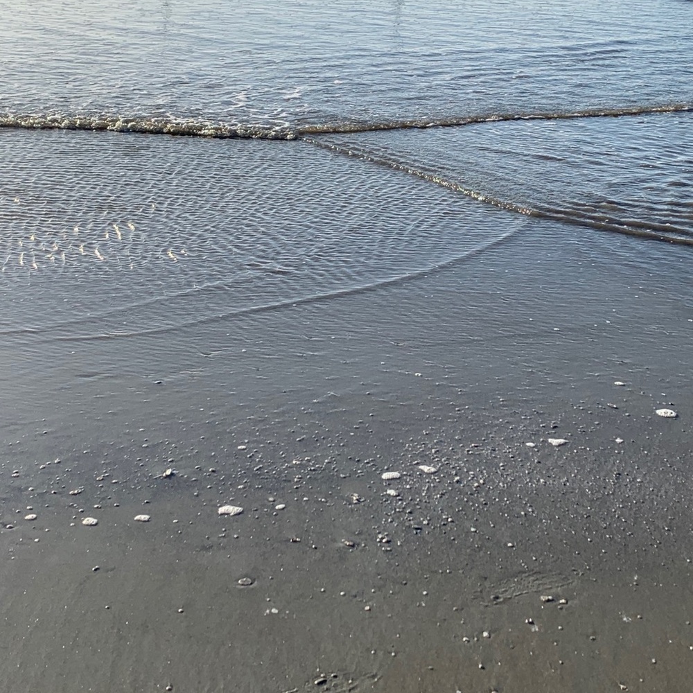 Meet your Posher, KP